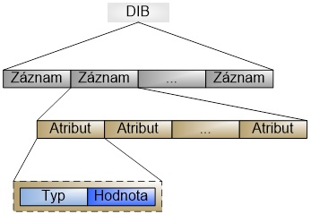 Principiální struktura DIB